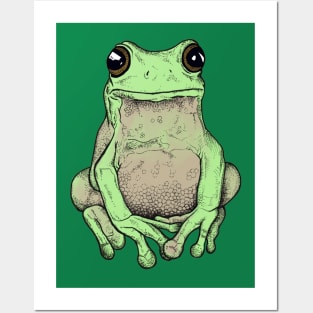 Cute Grumpy Frog Posters and Art